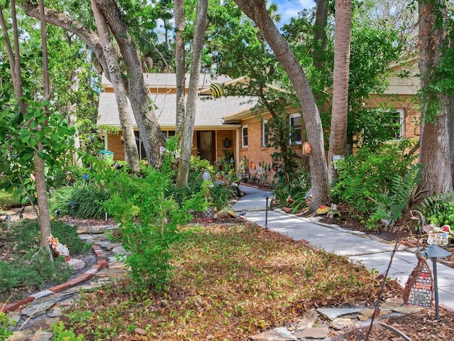 402 S Barbara Ln, Tampa, FL 33609 - photo 6