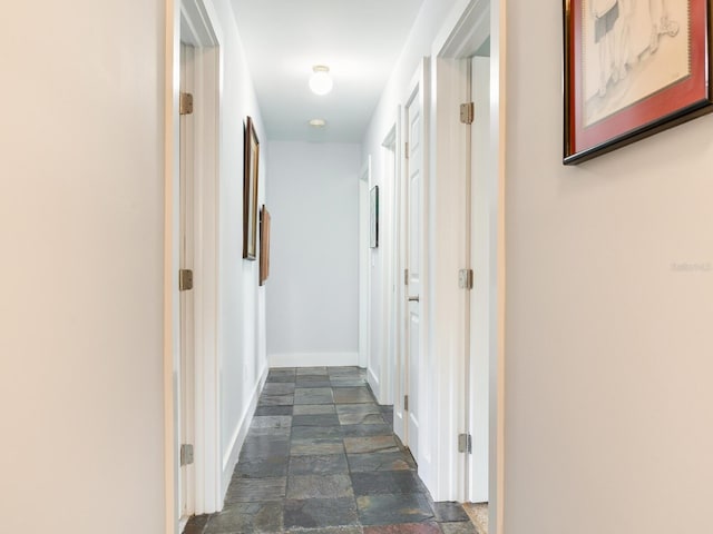 402 S Barbara Ln, Tampa, FL 33609 - photo 34