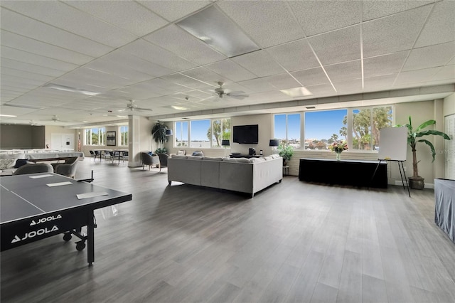 living area featuring ceiling fan, a drop ceiling, and wood finished floors