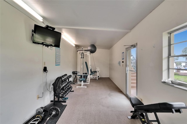 workout area with carpet flooring
