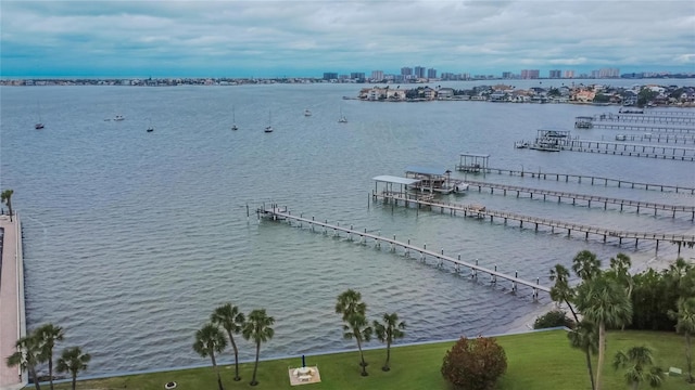 property view of water featuring a city view