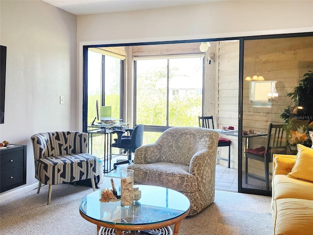 1500 Sunset Rd Unit C7, Tarpon Springs, FL 34689 - living area featuring carpet flooring
