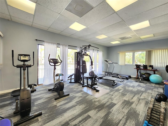 1500 Sunset Rd Unit C7, Tarpon Springs, FL 34689 - gym featuring a drop ceiling, baseboards, and carpet floors