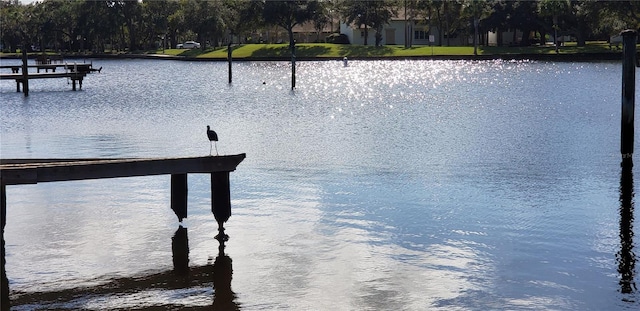 1500 Sunset Rd Unit C7, Tarpon Springs, FL 34689 - water view featuring a dock