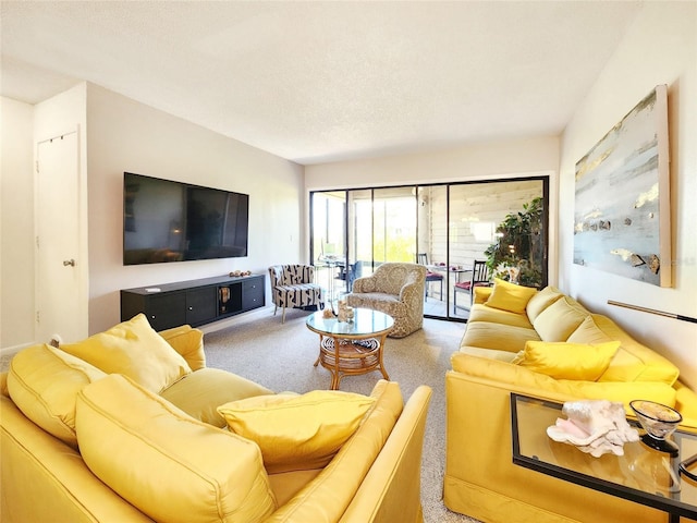 1500 Sunset Rd Unit C7, Tarpon Springs, FL 34689 - carpeted living room featuring a textured ceiling