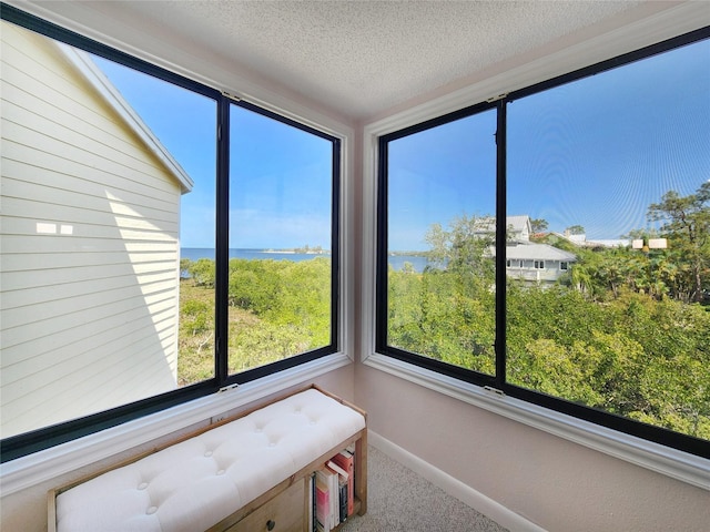 1500 Sunset Rd Unit C7, Tarpon Springs, FL 34689 - sunroom / solarium with a water view, carpet, baseboards, and a textured ceiling