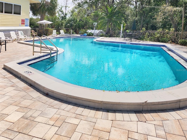1500 Sunset Rd Unit C7, Tarpon Springs, FL 34689 - community pool with view of wooded area and a patio area