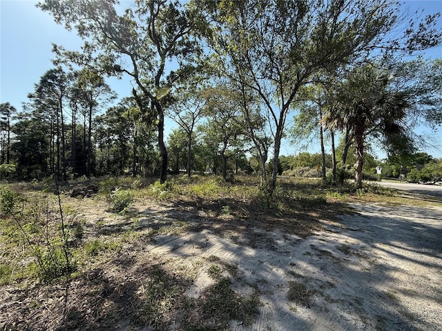 Indian Trail Rd, Brooksville, FL 34613