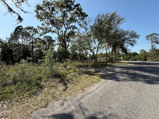 Indian Trail Rd, Brooksville, FL 34613