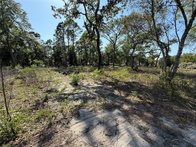 Indian Trail Rd, Brooksville, FL 34613