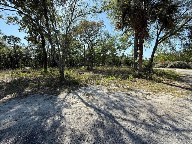 Indian Trail Rd, Brooksville, FL 34613