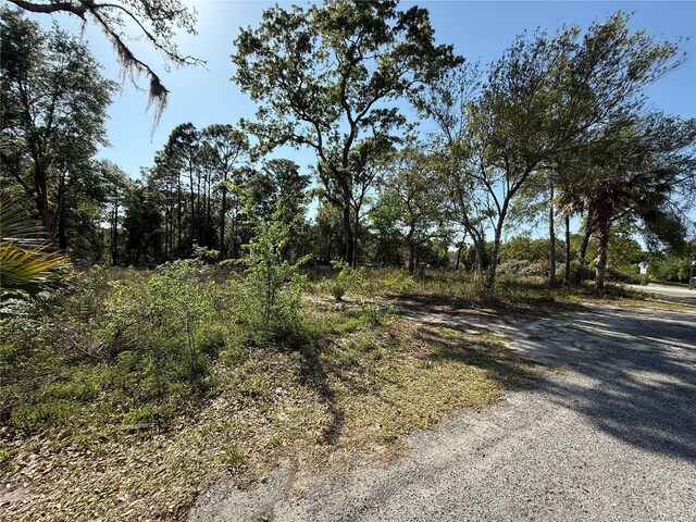 Indian Trail Rd, Brooksville, FL 34613