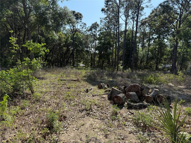 Indian Trail Rd, Brooksville, FL 34613