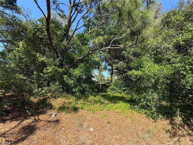 Indian Trail Rd, Brooksville, FL 34613