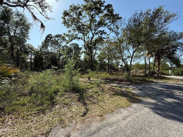 Indian Trail Rd, Brooksville, FL 34613