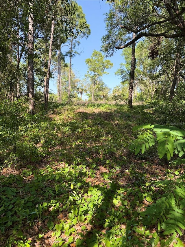 Indian Trail Rd, Brooksville, FL 34613