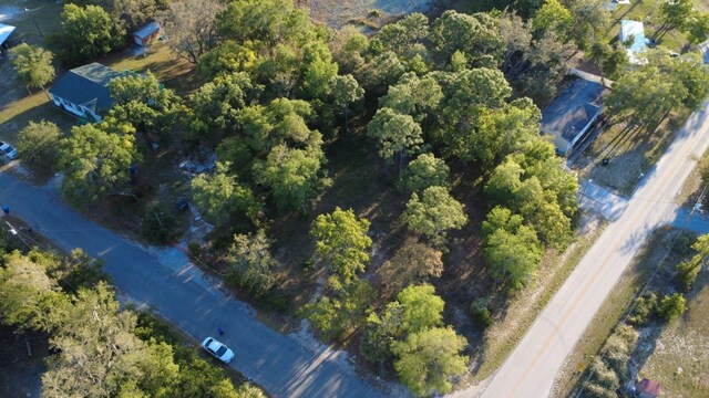 Indian Trail Rd, Brooksville, FL 34613