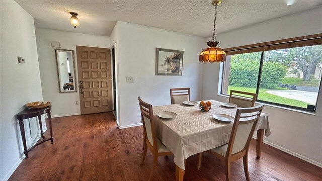 2459 Bay Berry Dr, Clearwater, FL 33763 - photo 7