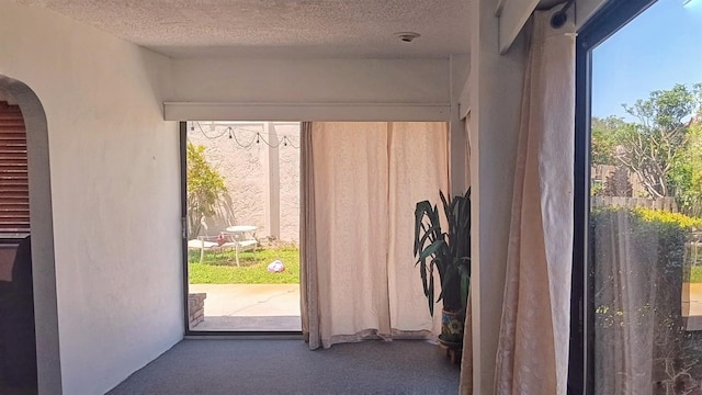 2459 Bay Berry Dr, Clearwater, FL 33763 - photo 23