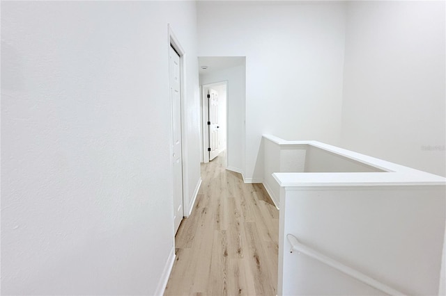 4332 Har Paul Cir, Tampa, FL 33614 - photo 15
