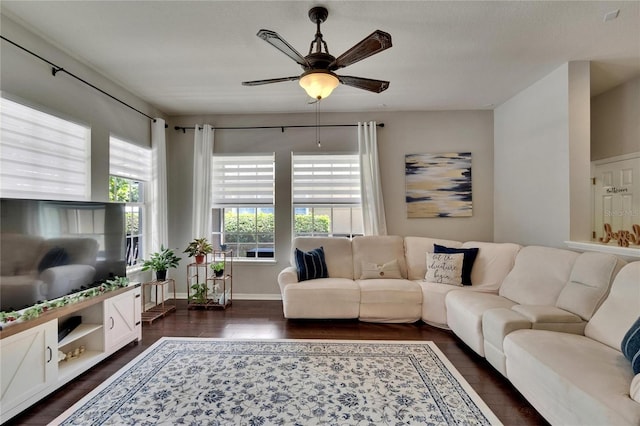 20537 Lace Cascade Rd, Land O Lakes, FL 34637 - living room with ceiling fan, dark wood finished floors, and baseboards