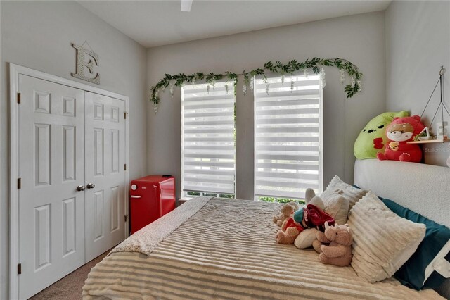 20537 Lace Cascade Rd, Land O Lakes, FL 34637 - carpeted bedroom featuring a closet
