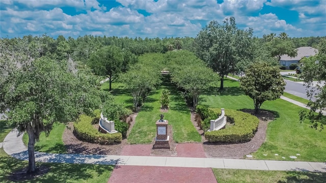 20537 Lace Cascade Rd, Land O Lakes, FL 34637 - bird's eye view
