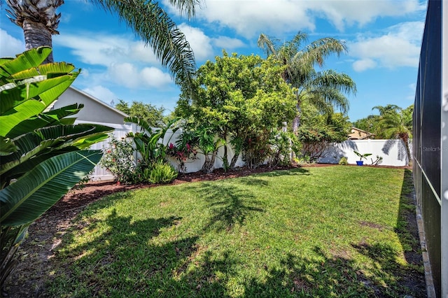 11519 Cypress Reserve Dr, Tampa, FL 33626 - view of yard featuring a fenced backyard