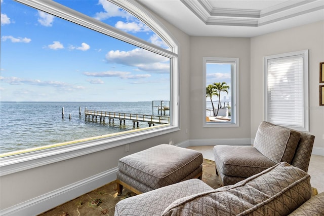1737 Brightwaters Blvd NE, Saint Petersburg, FL 33704 - photo 17
