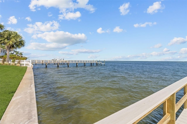 1737 Brightwaters Blvd NE, Saint Petersburg, FL 33704 - photo 40