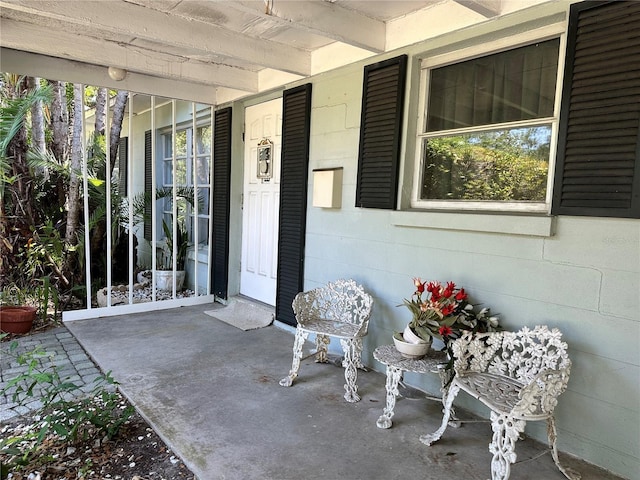 459 Bayview Dr NE, Saint Petersburg, FL 33704 - photo 7
