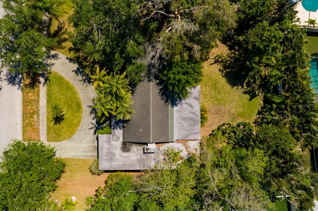 459 Bayview Dr NE, Saint Petersburg, FL 33704 - photo 17