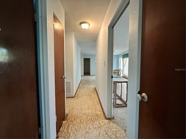 459 Bayview Dr NE, Saint Petersburg, FL 33704 - photo 23