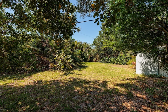 459 Bayview Dr NE, Saint Petersburg, FL 33704 - photo 36