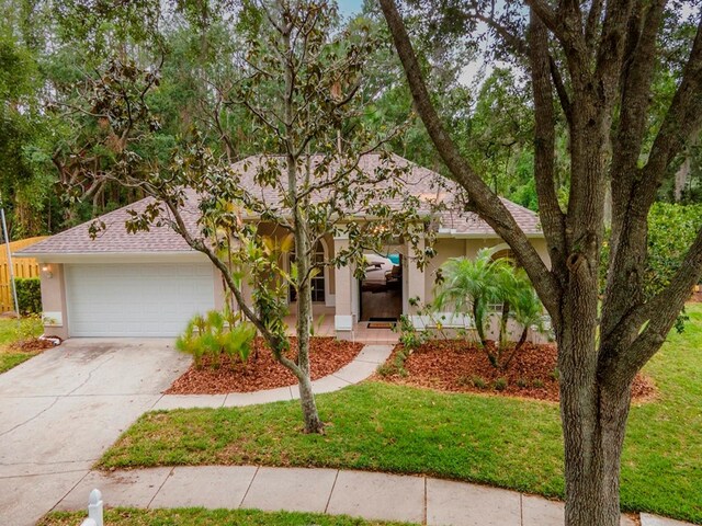 3728 Cypress Meadows Rd, Tampa, FL 33624 - view of property hidden behind natural elements featuring stucco siding, a garage, driveway, a front yard, and a shingled roof