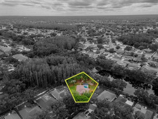 3728 Cypress Meadows Rd, Tampa, FL 33624 - aerial view of property and surrounding area featuring a heavily wooded area and property parcel outlined