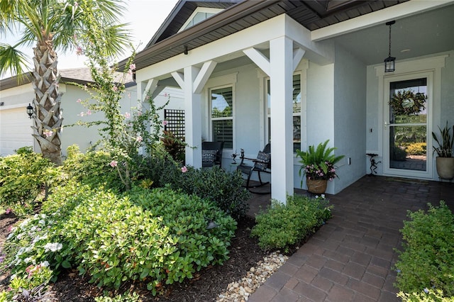 5597 Bay Tide Ct, Land O Lakes, FL 34638 - photo 23