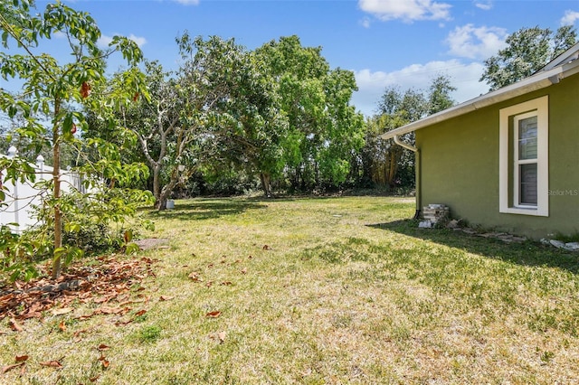 view of yard