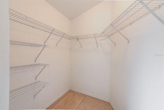 15410 Quail Woods Pl, Ruskin, FL 33573 - spacious closet featuring light carpet