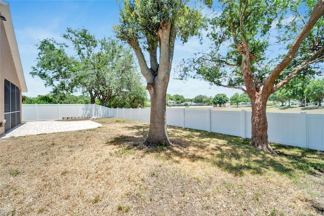 2745 Buckhorn Preserve Blvd, Valrico, FL 33596 - view of yard with a fenced backyard and a patio