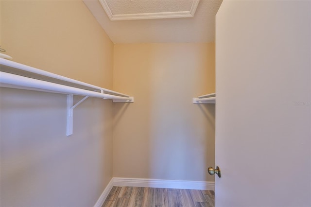 9481 Highland Oak Dr Unit 1206, Tampa, FL 33647 - walk in closet featuring wood finished floors