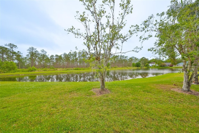 9481 Highland Oak Dr Unit 1206, Tampa, FL 33647 - water view