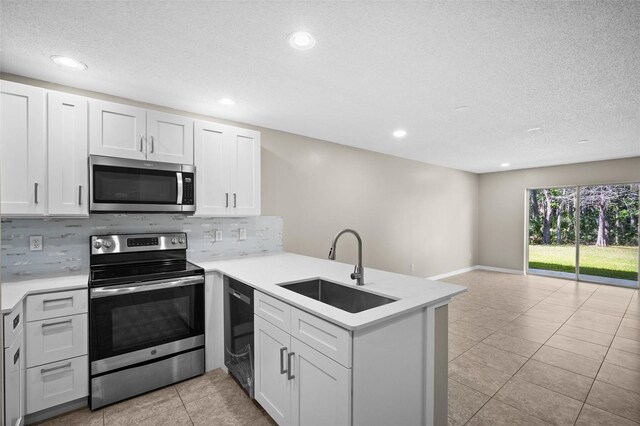 4535 Winding River Way, Land O Lakes, FL 34639 - photo 7