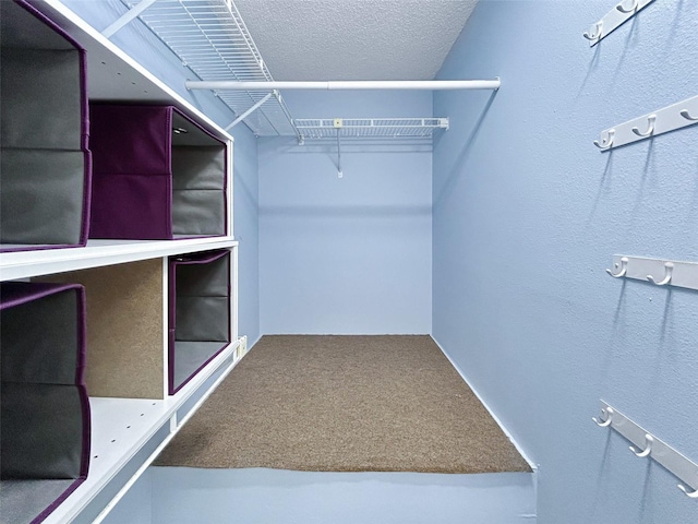 7508 Hollowell Dr, Tampa, FL 33615 - walk in closet with carpet floors