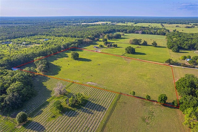 NW 232nd Ter, High Springs, FL 32643 - photo 5