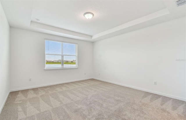 10317 Cross River Trl, Parrish, FL 34219 - spare room featuring a raised ceiling and carpet