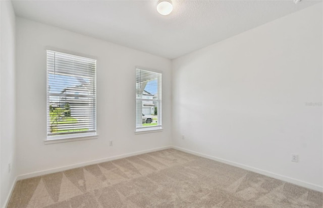 10317 Cross River Trl, Parrish, FL 34219 - empty room with light carpet