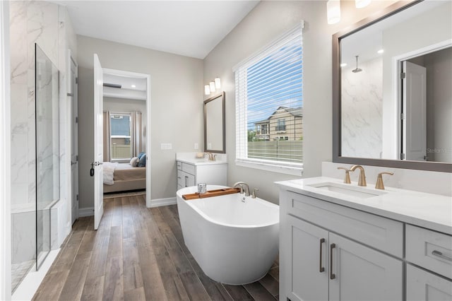 4365 Frontera Ln, Wesley Chapel, FL 33543 - bathroom featuring wood finished floors, a sink, a marble finish shower, connected bathroom, and a freestanding bath