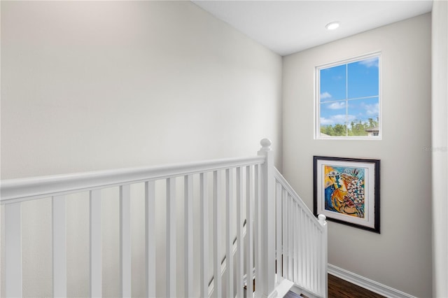 4365 Frontera Ln, Wesley Chapel, FL 33543 - stairway with baseboards, wood finished floors, and recessed lighting