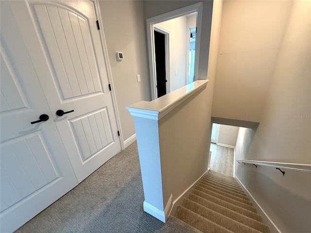 813 Burlington Ave N, Saint Petersburg, FL 33701 - photo 24
